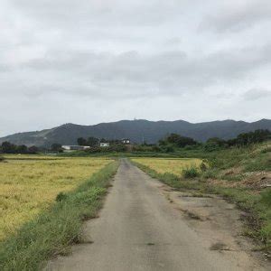 いばらぎ いばらき どっち - 茨城県の魅力を探る